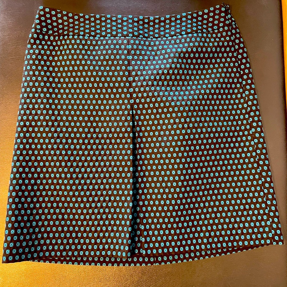 Ann Taylor Loft Skirt